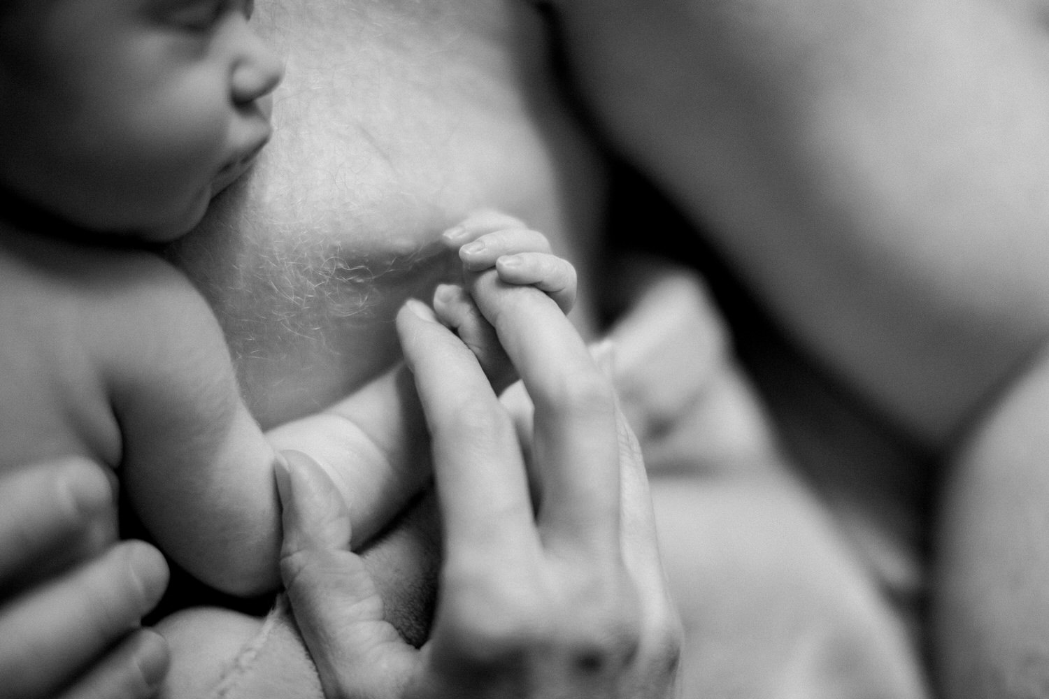 A baby is holding parents hand during a newborn shoot in Calgary