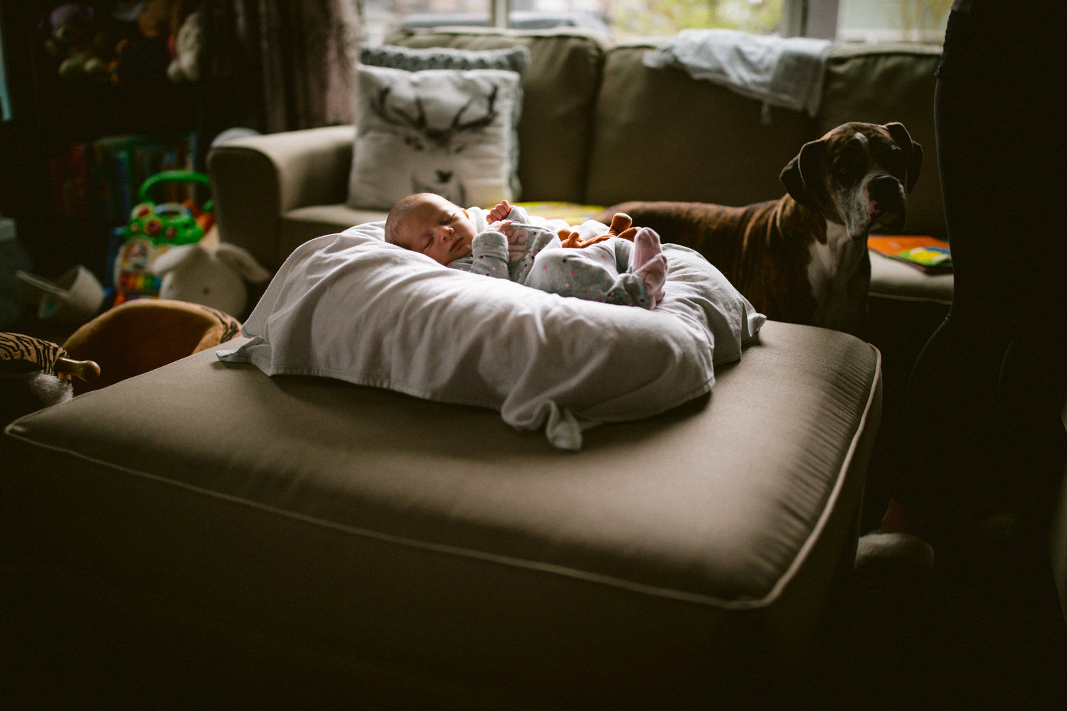 A newborn is sleeping in Calgary clients home with a puppy walking around
